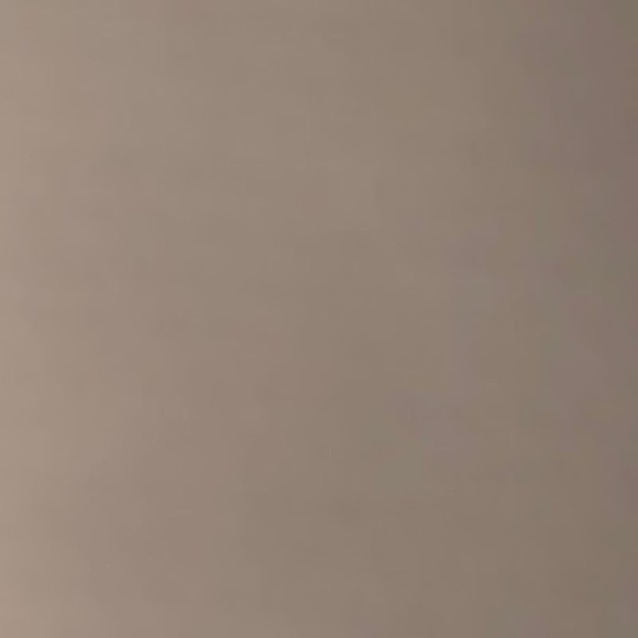 Meet your Posher, Dumpling - Picture 1 of 1